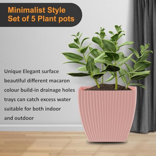 Eightiz (Pack of 5 6 inch Plant Flower Pots with Drainage Holes and Tray Saucers Outdoor Indoor - Ideal for Indoor Plants, Succulents, and Small Pots for Plants (Square LINE, Multi Colour) - Image 3