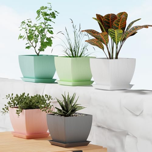 Eightiz (Pack of 5 6 inch Plant Flower Pots with Drainage Holes and Tray Saucers Outdoor Indoor - Ideal for Indoor Plants, Succulents, and Small Pots for Plants (Square LINE, Multi Colour) - Image 1