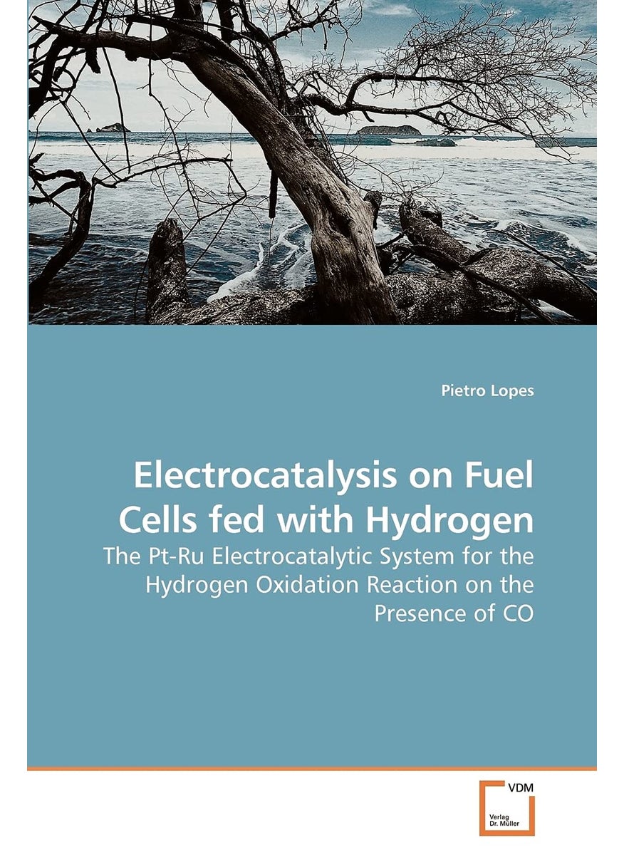 Electrocatalysis on Fuel Cells fed with Hydrogen  - Image 1