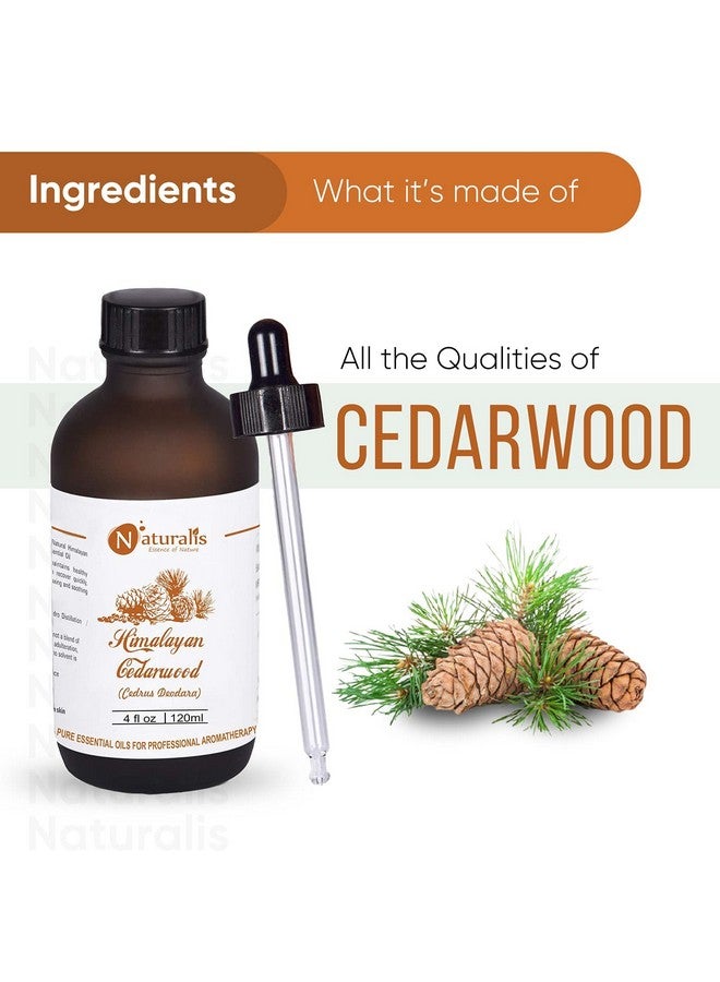 Naturalis Naturalis Essence of Nature Himalayan Cedarwood Essential Oil for Skin, Hair and Aromatherapy - 120ml - Image 3