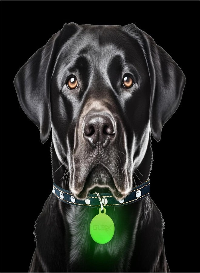 GLO-X Dog & Cat Collar Glow Tags - Pet Collar Tag that Glow in The Dark (Dog Tags) - Image 1