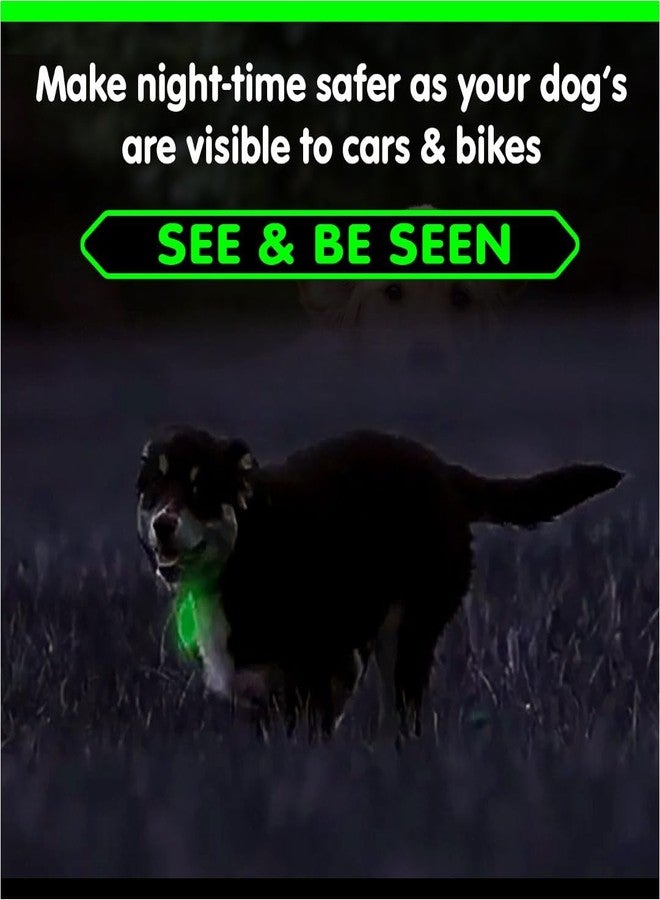 GLO-X Dog & Cat Collar Glow Tags - Pet Collar Tag that Glow in The Dark (Dog Tags) - Image 5