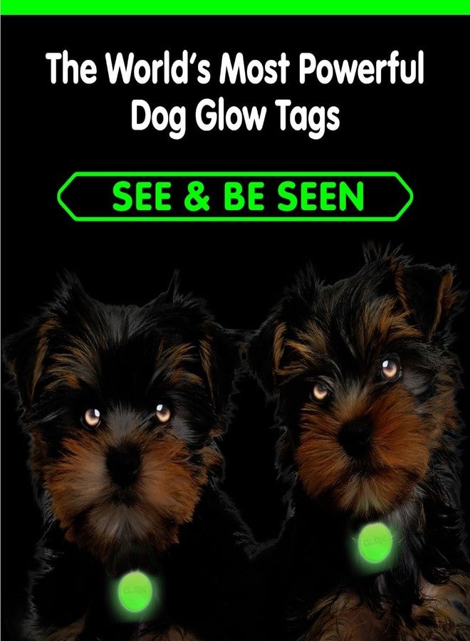 GLO-X Dog & Cat Collar Glow Tags - Pet Collar Tag that Glow in The Dark (Dog Tags) - Image 2