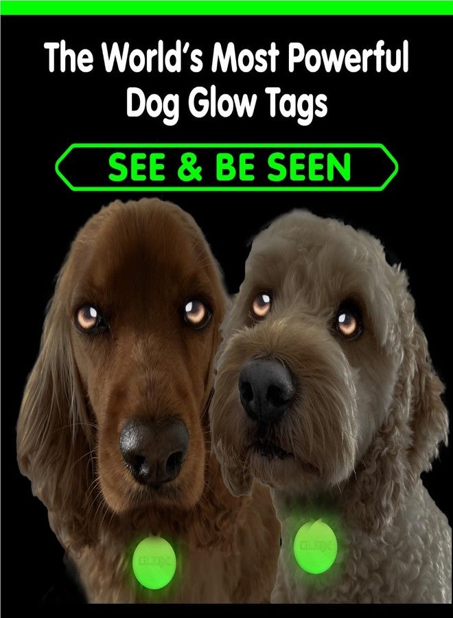 GLO-X Dog & Cat Collar Glow Tags - Pet Collar Tag that Glow in The Dark (Dog Tags) - Image 3