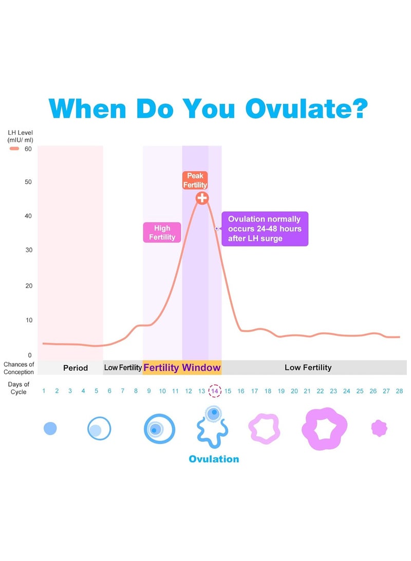 Easy@Home Easy@Home 50 Ovulation Test Strips and 20 Pregnancy Test Strips Kit - The Reliable Ovulation Predictor Kit (50 LH + 20 HCG) - Image 3