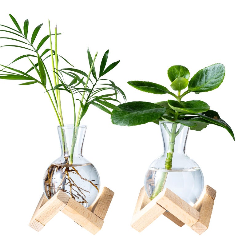 wangsdjy Propagation Stations, Propagation vases with Wooden Stand, Small Tabletop Glass Bulb Vases for Hydroponics Plant Propagation Station Home Office Decoration, Gift for Women Plant Lovers (2) - Image 1