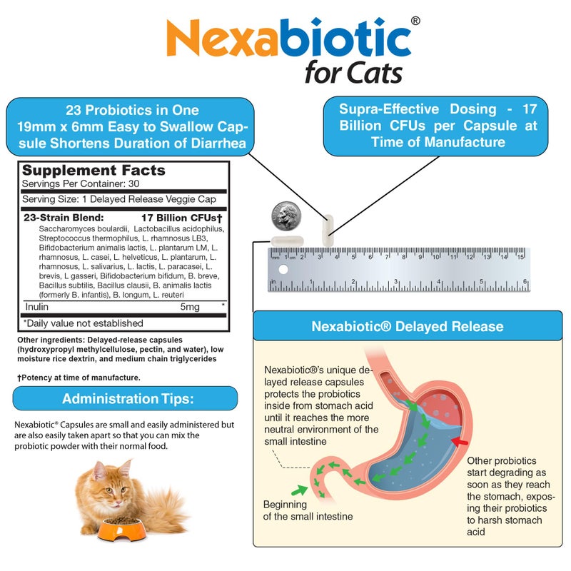 DrFormulas Nexabiotic Probiotics for Cats Powder | Treats Diarrhea for Pets with Saccharomyces Boulardii Lactobacillus Acidophilus, Best Probiotics Supplement for Digestive Health 30 Capsule - Image 4