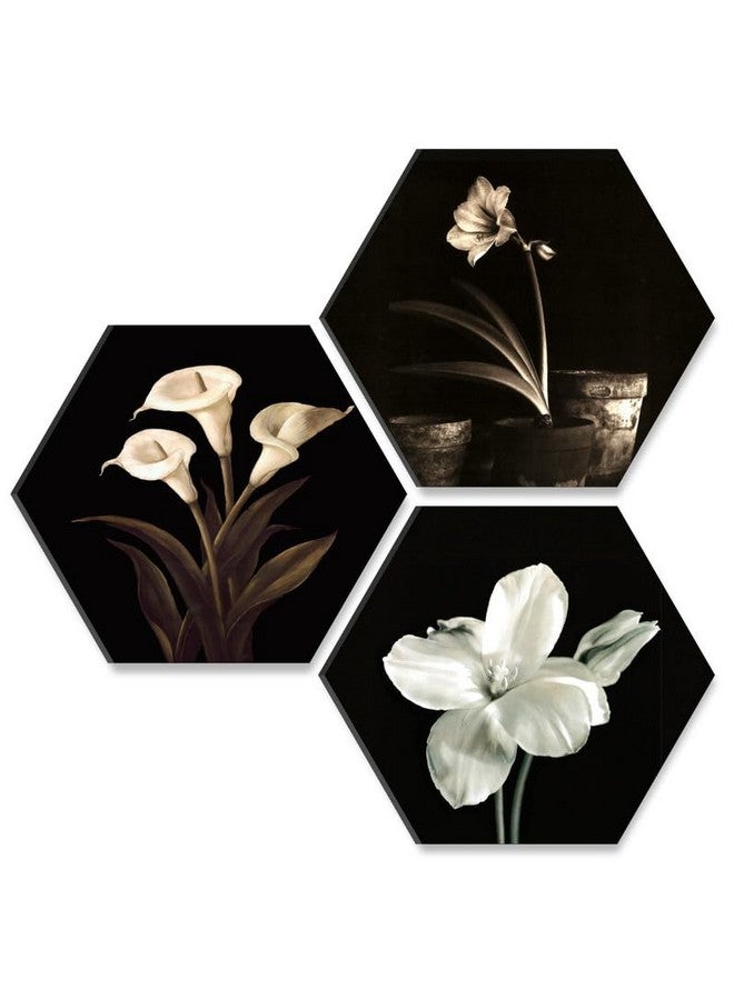 SAF paintings Flower Pot UV Textured MDF Set of 3 Hexagon Painting 17 Inch X 17 Inch HX131 - Image 1