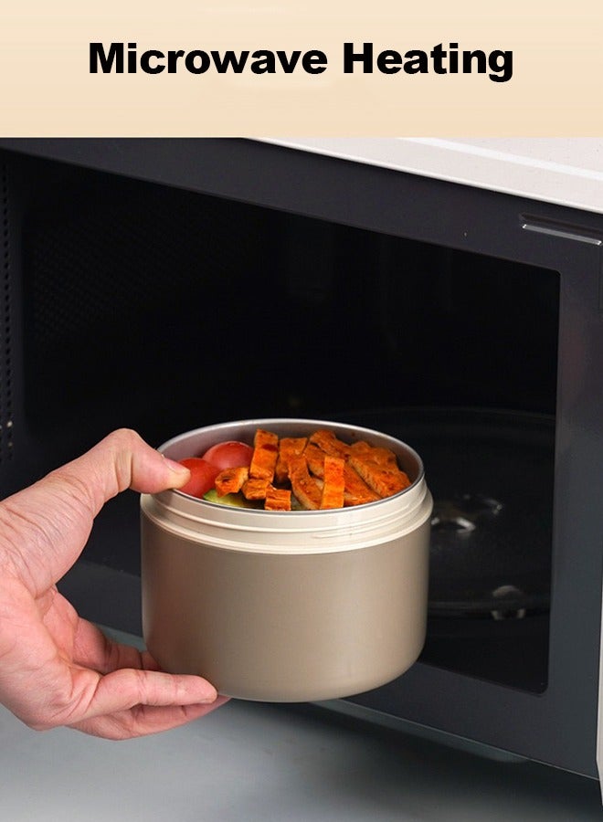 ROEIEIS Insulated Lunch Box Large Capacity, Stainless Steel Food Container with Carry Bag, for Men & Women, Ideal for School, Work, Office, and Outdoor Picnic, Kitchen Organizers - Image 4