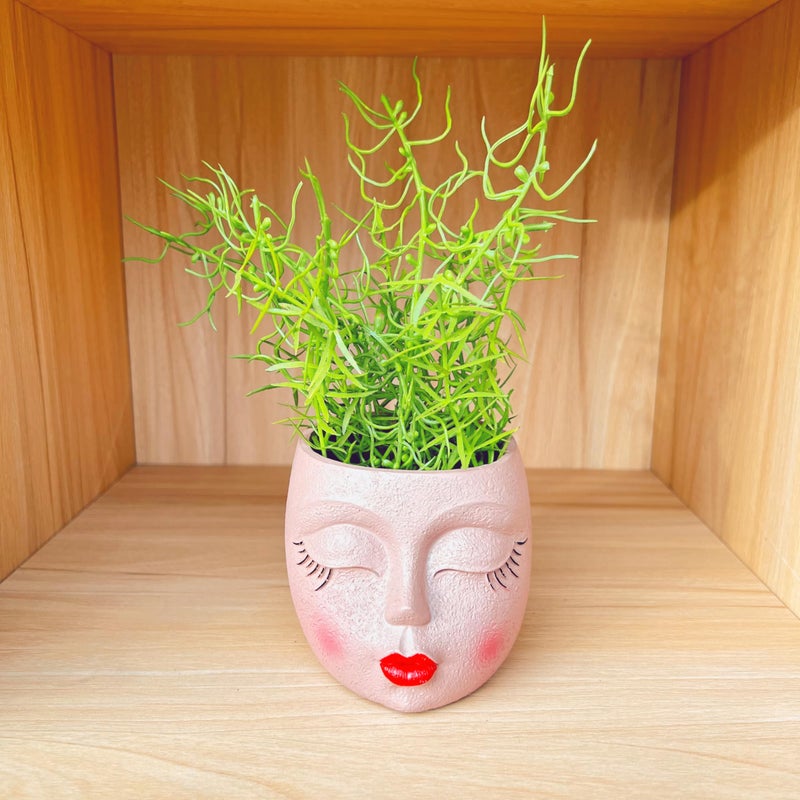 EylbKey Handcrafted Head Planter Pot Lady Face Planters Cute Flower Pot for Succulent Funny Resin Head Face Planter with Drainage â€‹Lightweight Brown 1Pack - Image 5