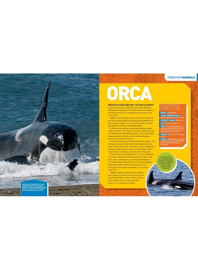 Ultimate Predatorpedia: The Most Complete Predator Reference Ever - Image 5