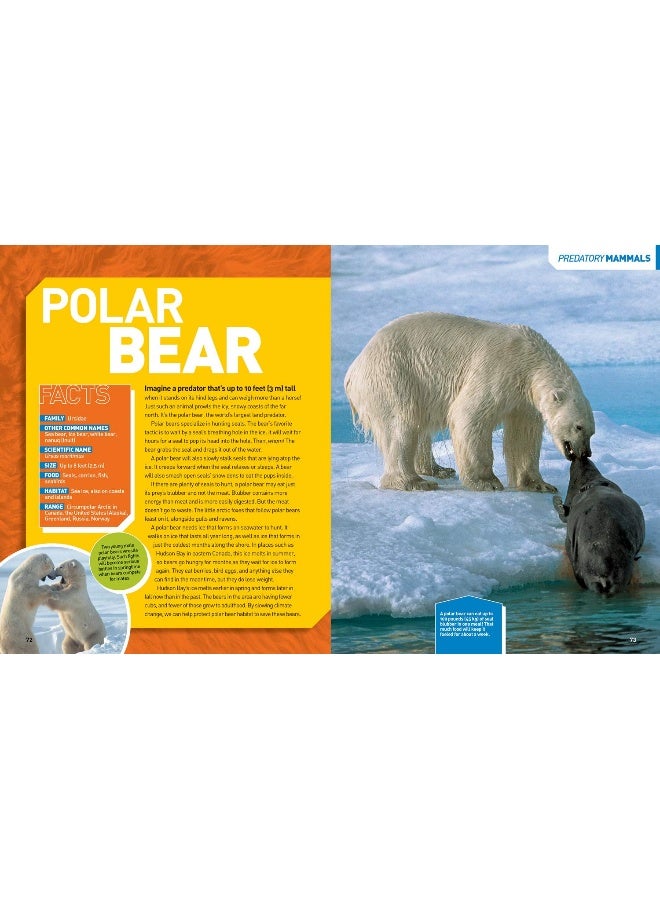 Ultimate Predatorpedia: The Most Complete Predator Reference Ever - Image 4