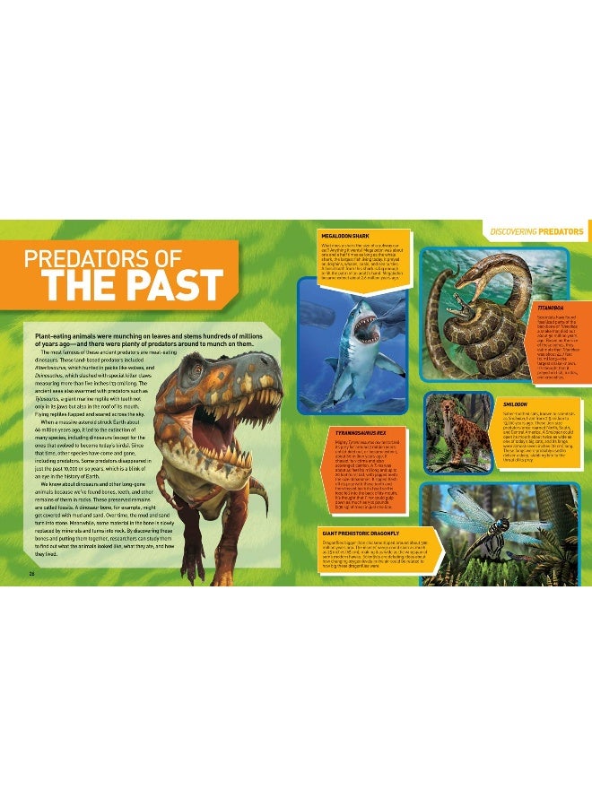 Ultimate Predatorpedia: The Most Complete Predator Reference Ever - Image 3
