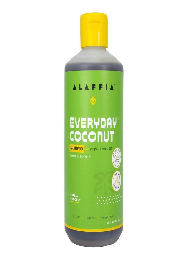 Alaffia Hair Care, Everyday Coconut Shampoo, Gentle & Hydrating Daily Cleansing, Wavy & Curly Hair Products, Vitamin E, Virgin Coconut Oil, Ginger Extract, 16 Fl Oz - Image 1