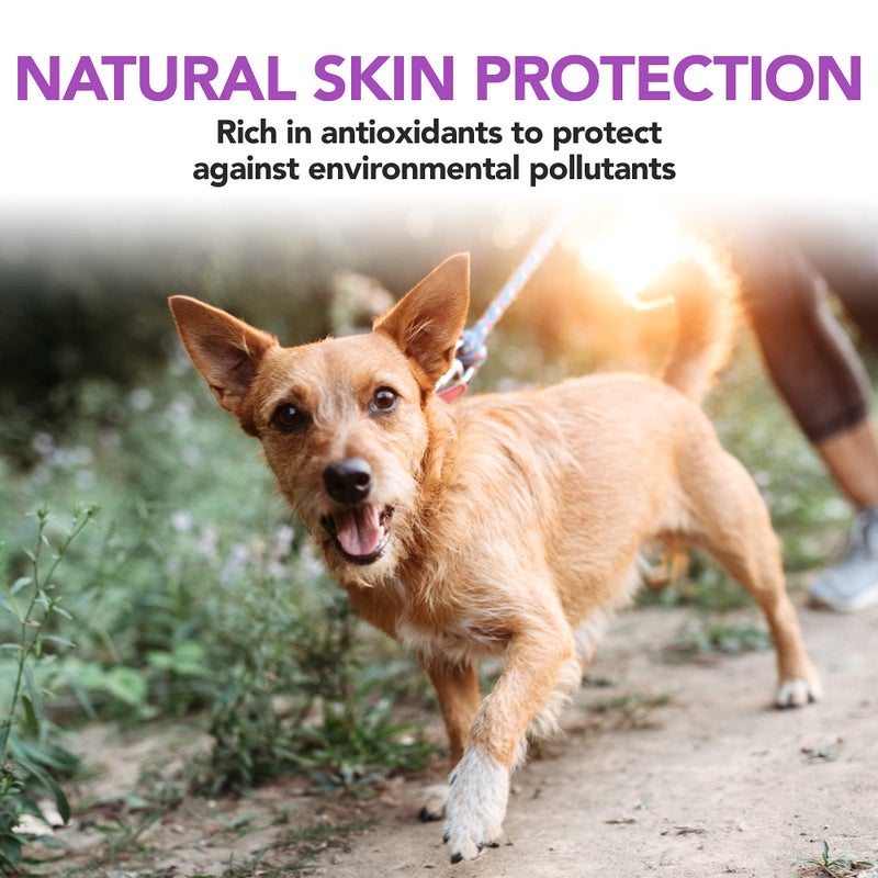 Vet's Best Brewerâ€™s Yeast & Garlic Chews, Omega 3 for Dogs Healthy Skin & Coat Protection for Dogs, Dog Formulated with Veterinary Recommended Dosage, Garlic Supplements, 60 ct - Image 4