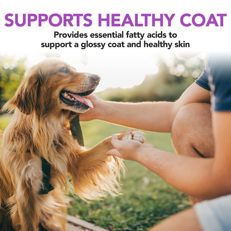 Vet's Best Brewerâ€™s Yeast & Garlic Chews, Omega 3 for Dogs Healthy Skin & Coat Protection for Dogs, Dog Formulated with Veterinary Recommended Dosage, Garlic Supplements, 60 ct - Image 5