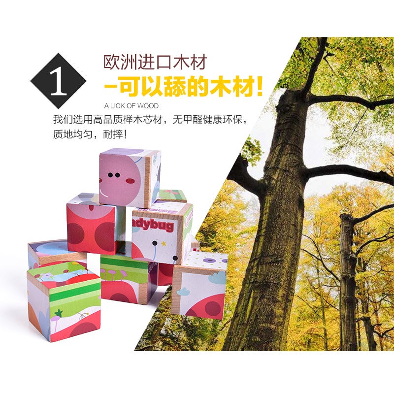 Wooden Six-Sided Beech 9-Grain Puzzle Children'S 3D Building Blocks Baby Children'S Educational Toys 3-4-5-6 Years Old - Image 3