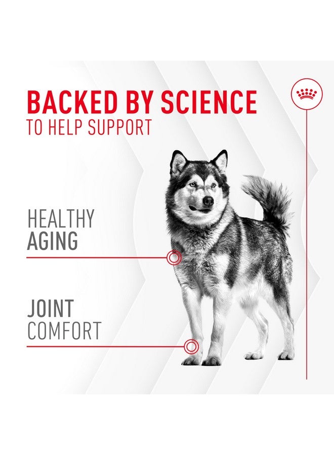 Royal Canin Joint Supplement Soft Chews for Adult Dogs 8.47 oz (60 Count) - Image 3