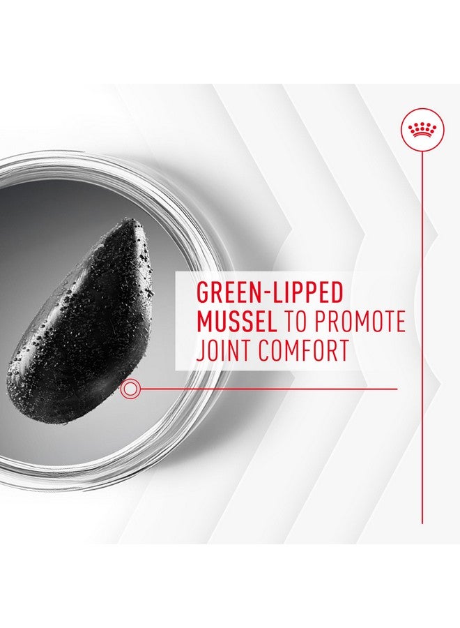 Royal Canin Joint Supplement Soft Chews for Adult Dogs 8.47 oz (60 Count) - Image 4