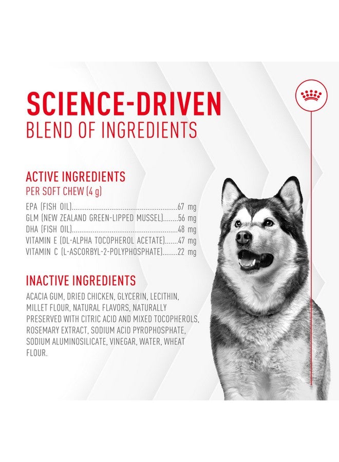 Royal Canin Joint Supplement Soft Chews for Adult Dogs 8.47 oz (60 Count) - Image 5