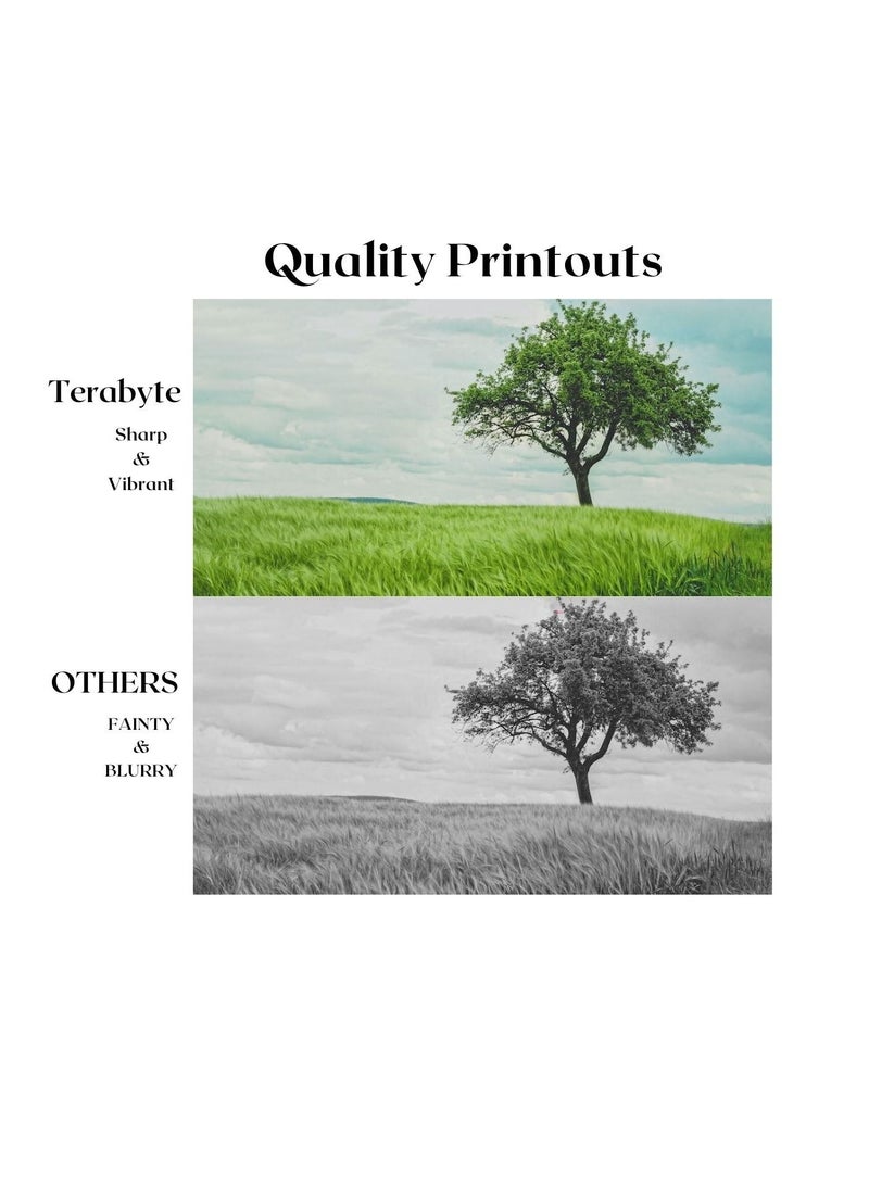 Terabyte TONER CARTRIDGE TN210 BLACK - Image 4