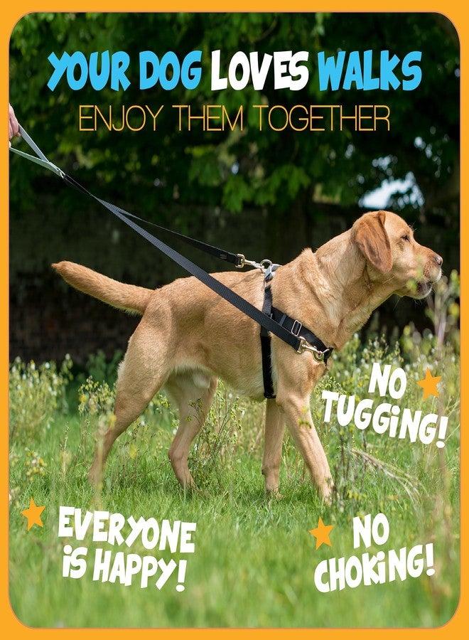 2 Hounds Design - Freedom No-Pull Harness & Training Leash in Pink and Purple | Dual Leash Loops, No Pulling on Walks | Lined to Prevent Chaffing | for Large Sized Dogs (Size M, Chest 24”- 28”) - Image 5