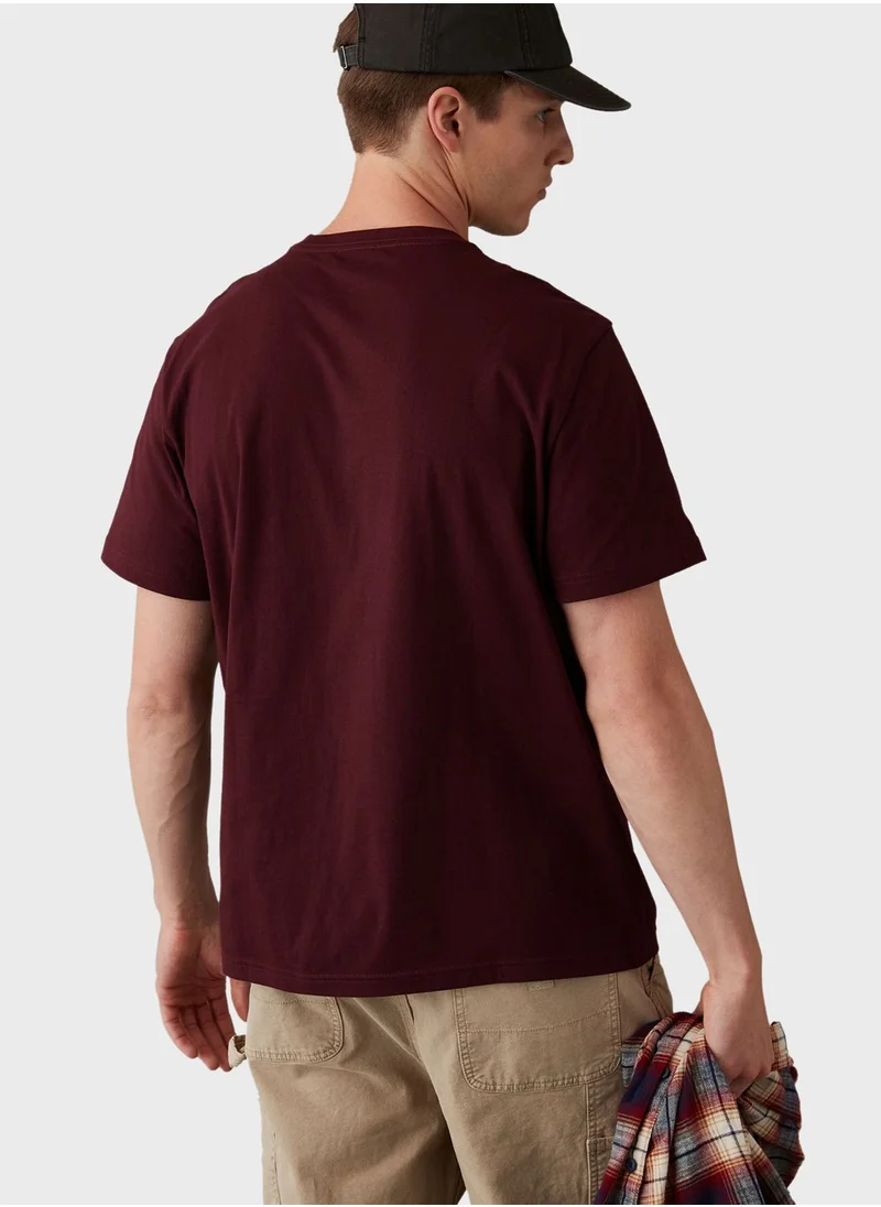 American Eagle Graphic Crew Neck T-Shirt