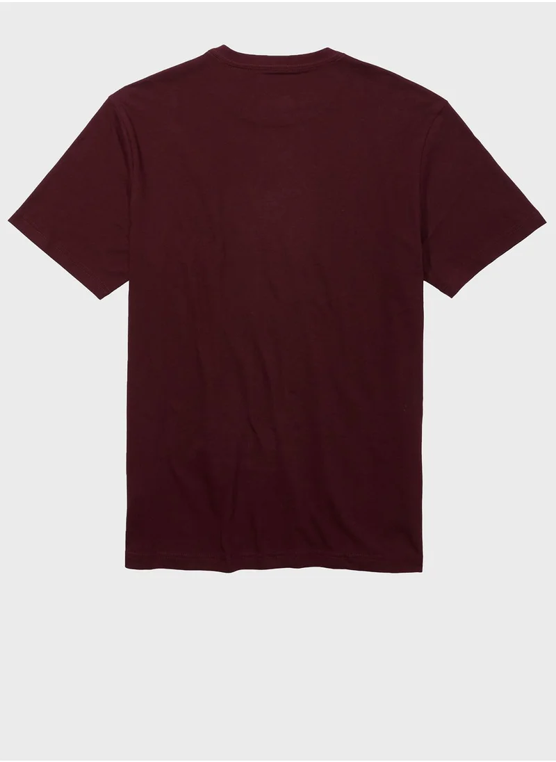 American Eagle Graphic Crew Neck T-Shirt