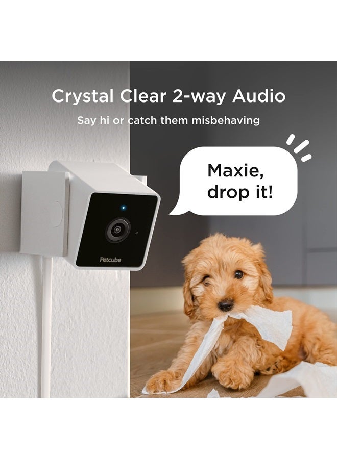 Petcube كاميرا داخلية للواي فاي للحيوانات الأليفة والأمان مع تطبيق الهاتف، مراقب الحيوانات الأليفة مع صوت وفيديو ثنائي الاتجاه، رؤية ليلية، فيديو بدقة 1080 بكسل وتنبيهات ذكية لأقصى أمان منزلي - Image 1