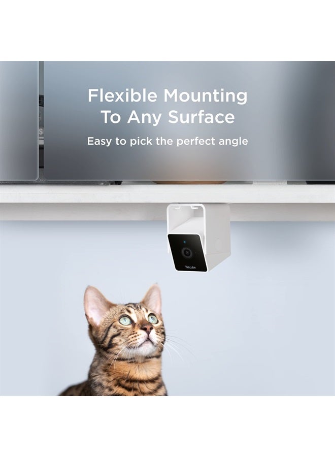 Petcube كاميرا داخلية للواي فاي للحيوانات الأليفة والأمان مع تطبيق الهاتف، مراقب الحيوانات الأليفة مع صوت وفيديو ثنائي الاتجاه، رؤية ليلية، فيديو بدقة 1080 بكسل وتنبيهات ذكية لأقصى أمان منزلي - Image 3