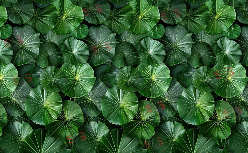 S2S Round Leaf Backdrop Cloth for Pooja Decoration Traditional, Background Decoration Cloth | Curtain Cloth for All Festival, Functions & Ceremonies - (5 x 8 Feet) (Round Leaf) - Image 2