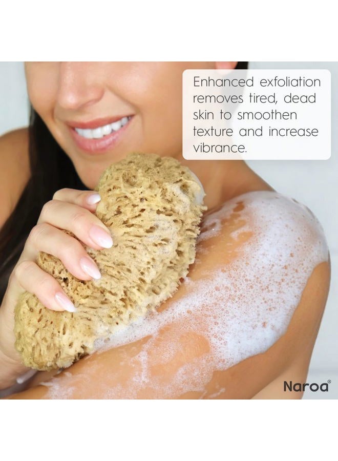 Naroa Exfoliating Natural Sponge for Shower | Bath Sea Loofah for Healthy Skin | Unbleached Bathing Body Scrubber Puff | Eco Friendly Plastic Free (Medium) - Image 4