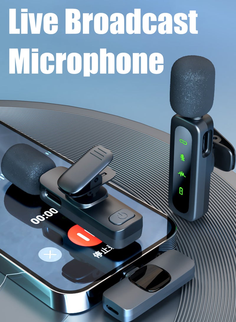 Baborich 2024 Professional Wireless Lavalier Microphone for iPhone 15 Pro Max, iPad, Android - 2-Pack with USB-C Interface for Clear Recording, Supports Live Streaming, YouTube, TikTok, Mono  - Image 2
