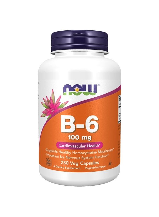 now Supplements, Vitamin B-6 (Pyridoxine HCl) 100 mg, Cardiovascular Health*, 250 Veg Capsules - Image 1