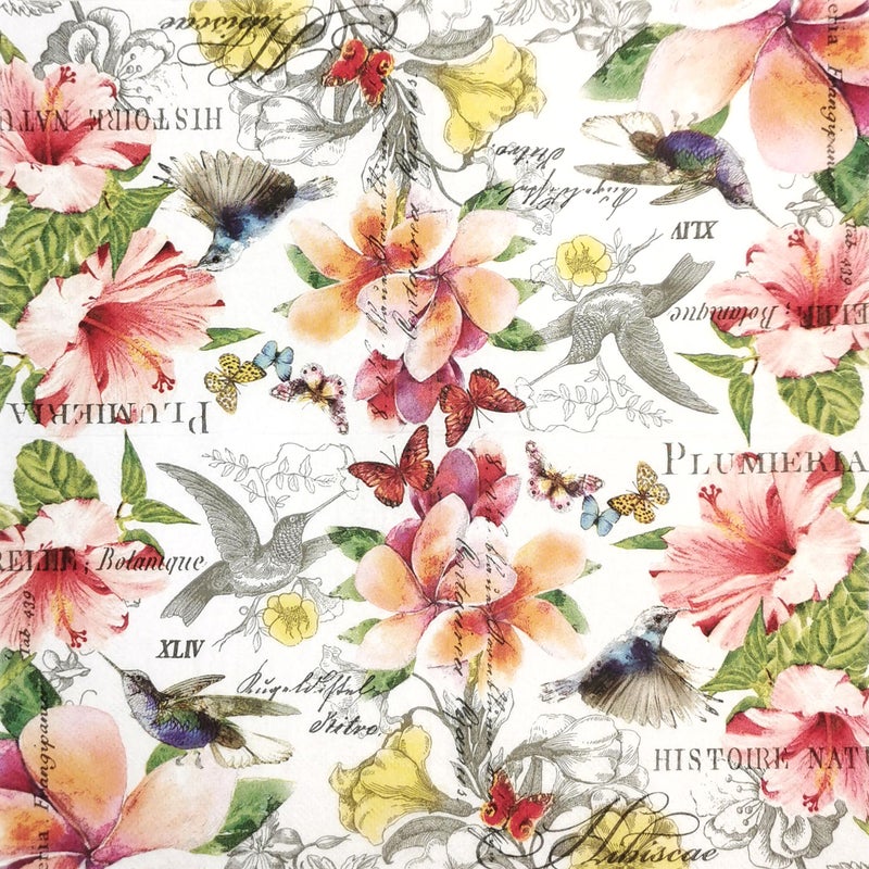 Zelten Colored Paper Cocktail Napkins, 20 Count Shabby Chic Napkins for Wedding, Dinner Tea Party Shower, Plumieria &Hibiscae - Image 2