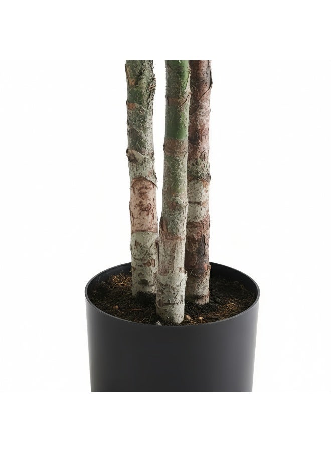 Sharpdo Artificial trees,Foxtail Palm ,180CM Faux Tree with Realistic Leaves Perfect for Home Decoration Wedding Outdoor Photography Prop Indoor Office Living Room Balcony Artificial Green Plant Tree - Image 2