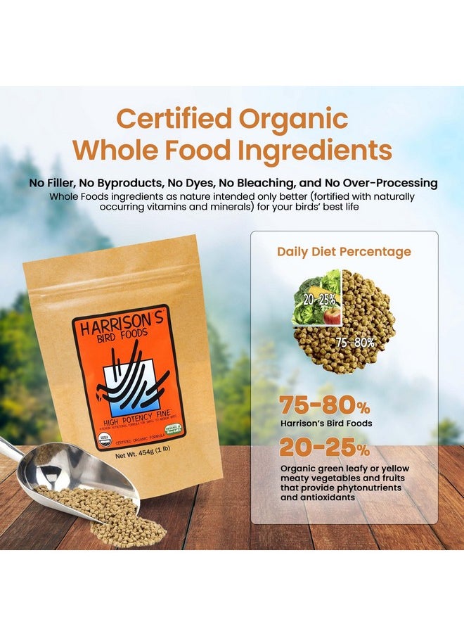 Harrison's Bird Foods Harrison's Bird Foods High Potency Fine Certified Organic Non GMO Formula Bird Food 1lb  - Image 5
