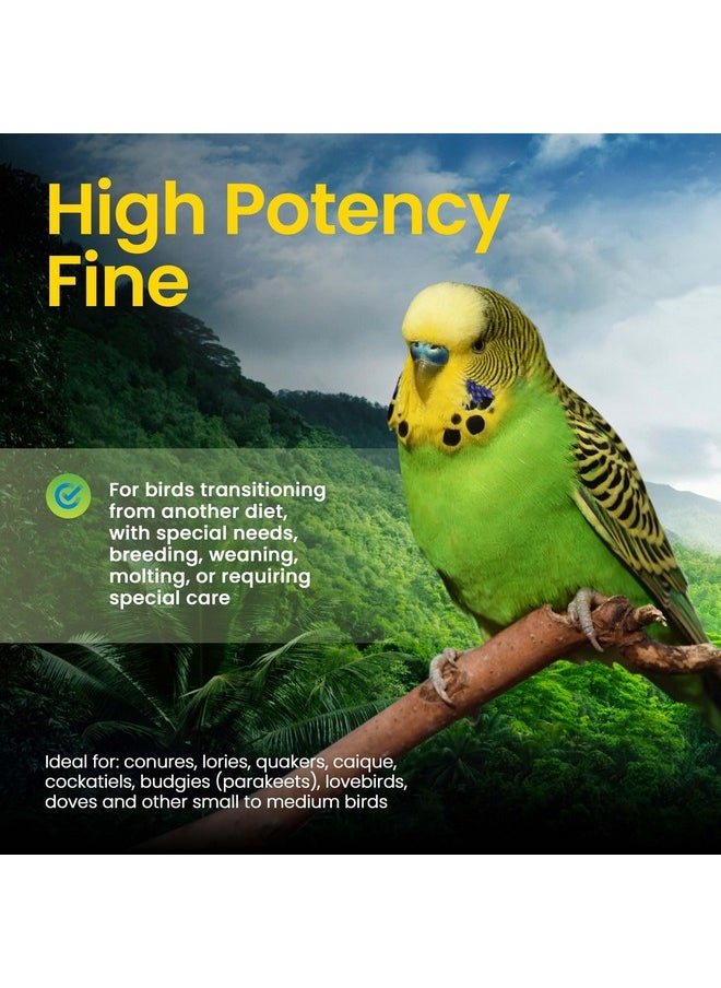 Harrison's Bird Foods Harrison's Bird Foods High Potency Fine Certified Organic Non GMO Formula Bird Food 1lb  - Image 4