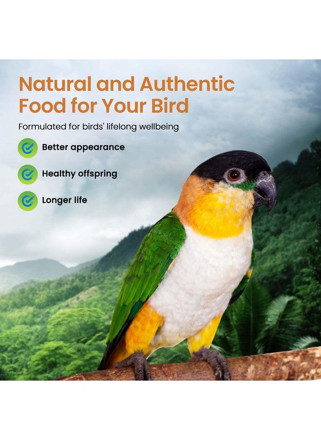 Harrison's Bird Foods Harrison's Bird Foods High Potency Fine Certified Organic Non GMO Formula Bird Food 1lb  - Image 3