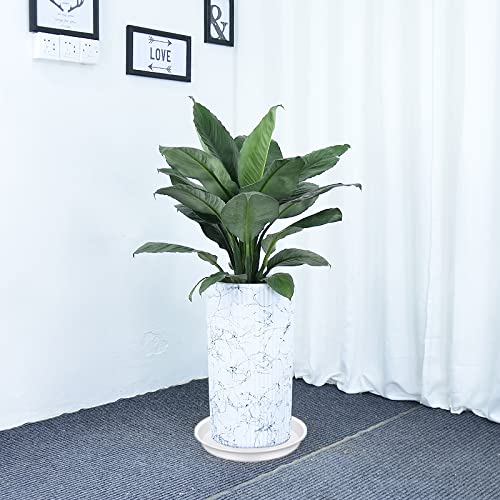 Bleuhome 2 Pack of 14 inch Plant Saucers Bird Bath Bowl, Plant Saucer 14" Round, Plastic Plant Tray for Pots, White Planters for Indoor Plants, Plant Trays for Planter 12-15" (14", Creamy White) - Image 4
