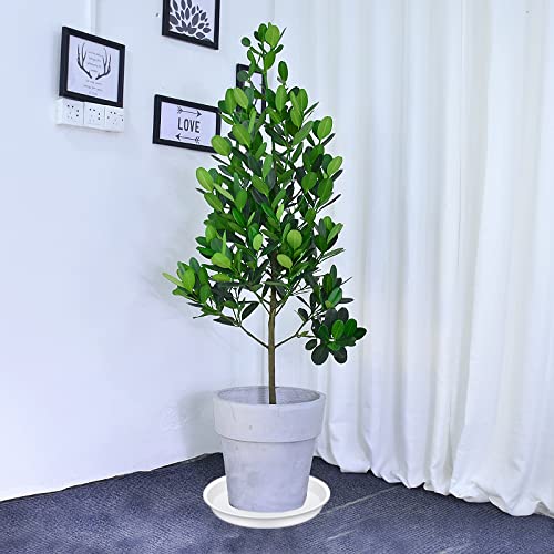 Bleuhome 2 Pack of 14 inch Plant Saucers Bird Bath Bowl, Plant Saucer 14" Round, Plastic Plant Tray for Pots, White Planters for Indoor Plants, Plant Trays for Planter 12-15" (14", Creamy White) - Image 2