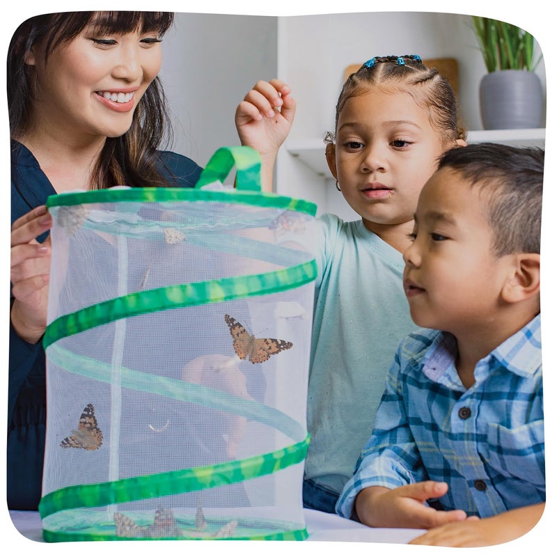 Insect Lore Butterfly Garden Kit - 5 Live Baby Caterpillars, Habitat, Feeder, Chrys-A-Lid Log, STEM Journal Included - Grow, Raise and Release Painted Lady Butterflies - Image 2
