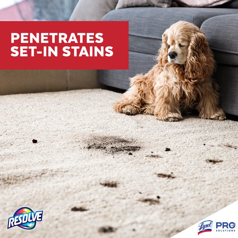 Resolve Professional Strength Spot and Stain Carpet Cleaner, Carpet Cleaner, Carpet Cleaner Solution, 32 Fl Oz (Pack of 1) - Image 4