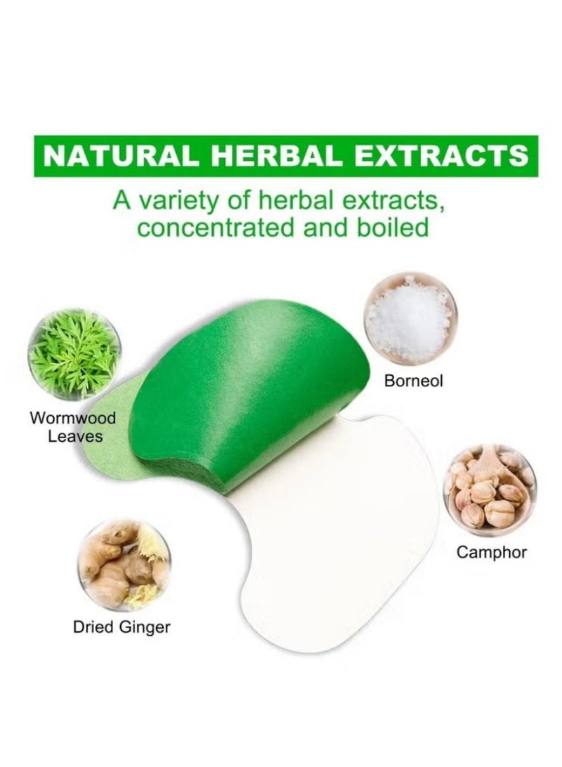 سيفودون ١٢ قطعة لصقات طبيعية بالاعشاب الصينية لتخفيف آلام مفاصل الركبة علاج الركبة - Image 4