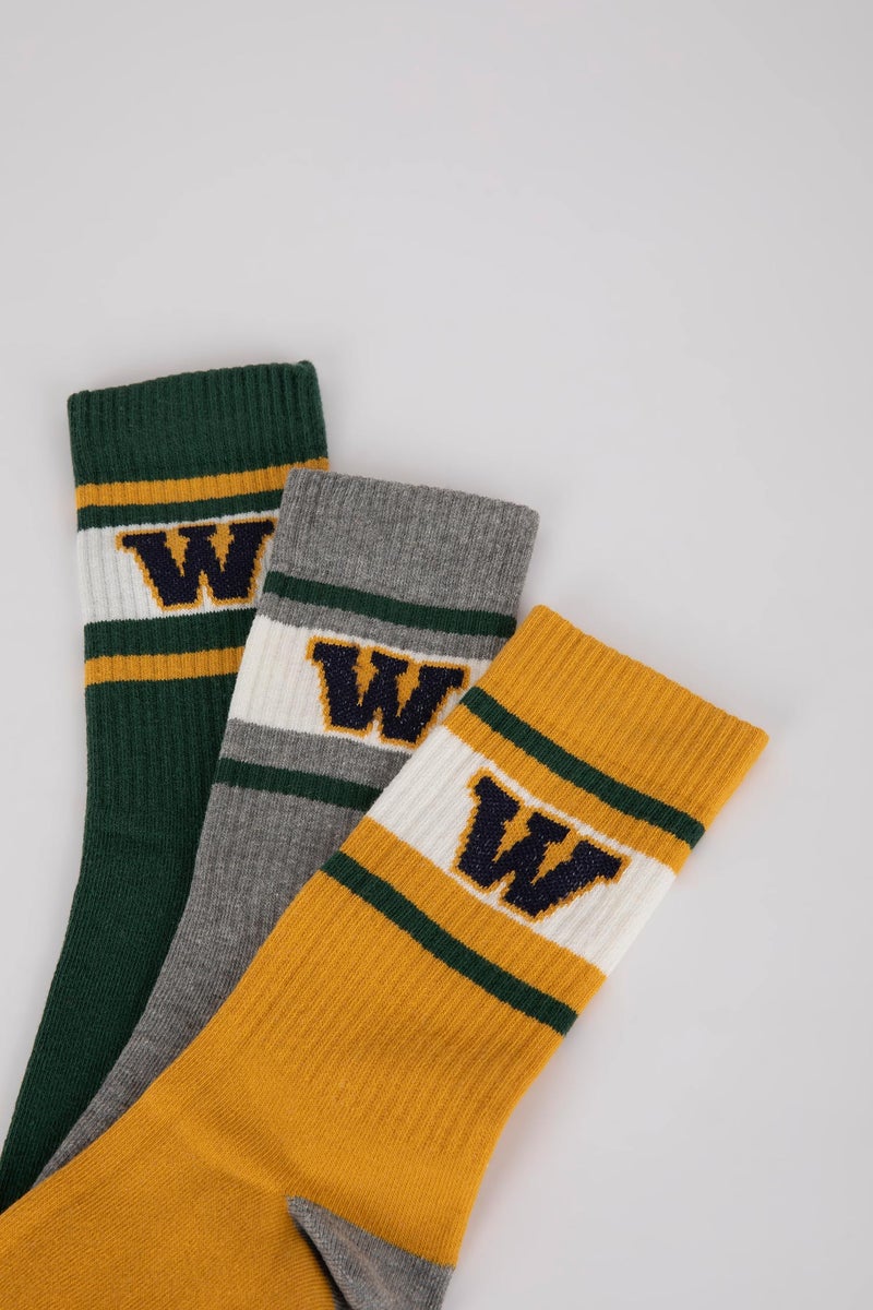 DeFacto Multicolour Man Man 3 piece Long Socks Casual - Image 5