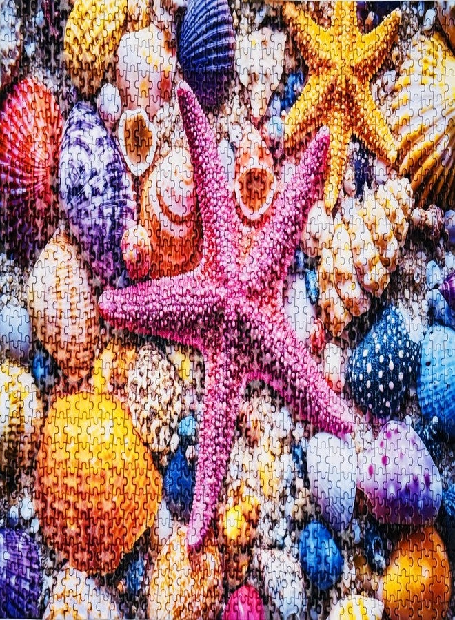 YOGEON Mini Puzzle for Adults 1000 Pieces - Colorful Seashell and Starfish Puzzle, 1000 Piece Beach Summer Mini Jigsaw Puzzle (Finish Size: 15''x 10'') - Image 2