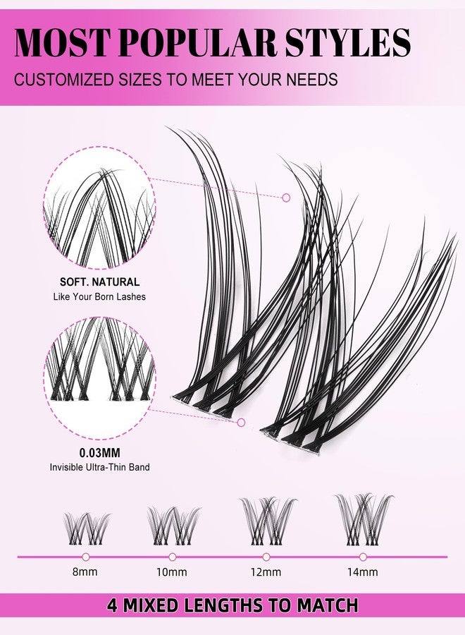 AGGRAD Venus Lash Clusters Kit Short 8-14mm D Curl Natural Cluster Lashes Kit Wispy Eyelash Clusters Kit DIY Eyelash Extension Kit with Lash Bond and Seal & Tweezers Remover for Fake Lashes Extensions - Image 2