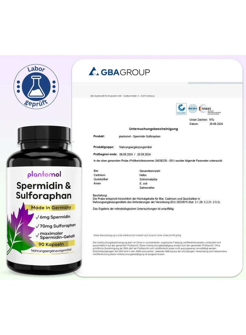 Plantomol Spermidine-sulforaphane 6mg spermidine with 70mg sulforaphane per capsule , It helps regenerate cells and support the body’s antioxidant defenses ,90 Capsules - Image 3