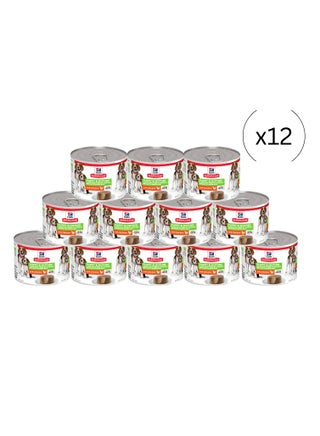 Hill’s Science Plan Puppy & Mother Mousse With Chicken Dog Food Wet– 12x200g - pzsku/Z96B98F5D785AA2758F4EZ/45/1749143013/75800151-e5d6-4131-ba3c-c694b6e3f5dd
