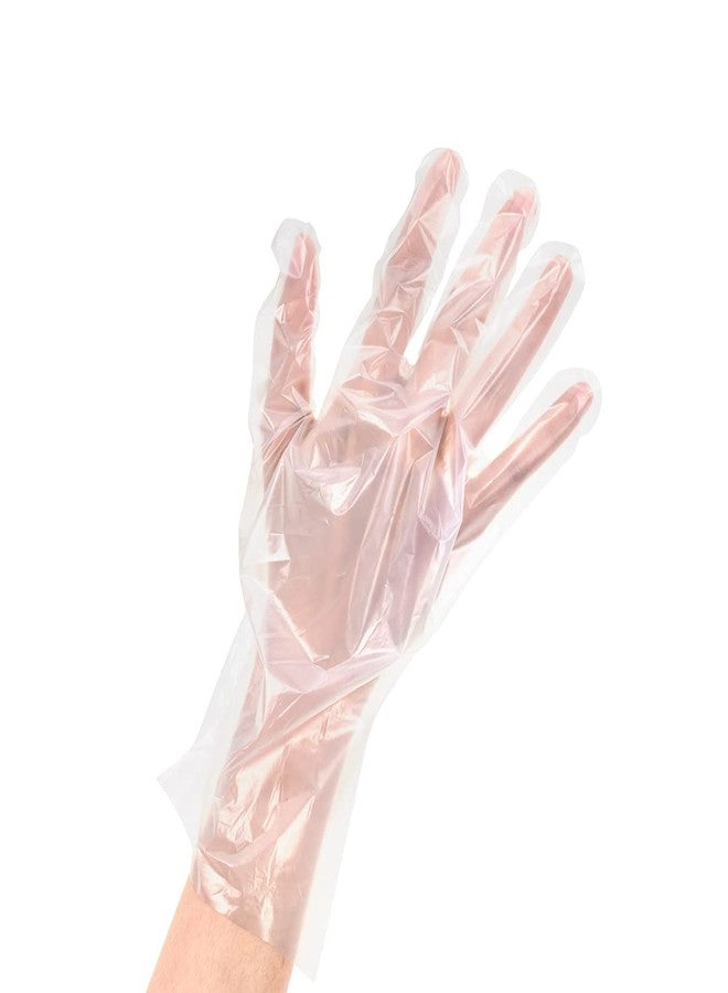 Restaurantware Eco Serve Medium Gloves 100 Plant-Based Disposable Gloves - Powder-Free Latex-Free Clear PLA Plastic Plastic Gloves Tear-Resistant Designed To Fit Most - Image 1